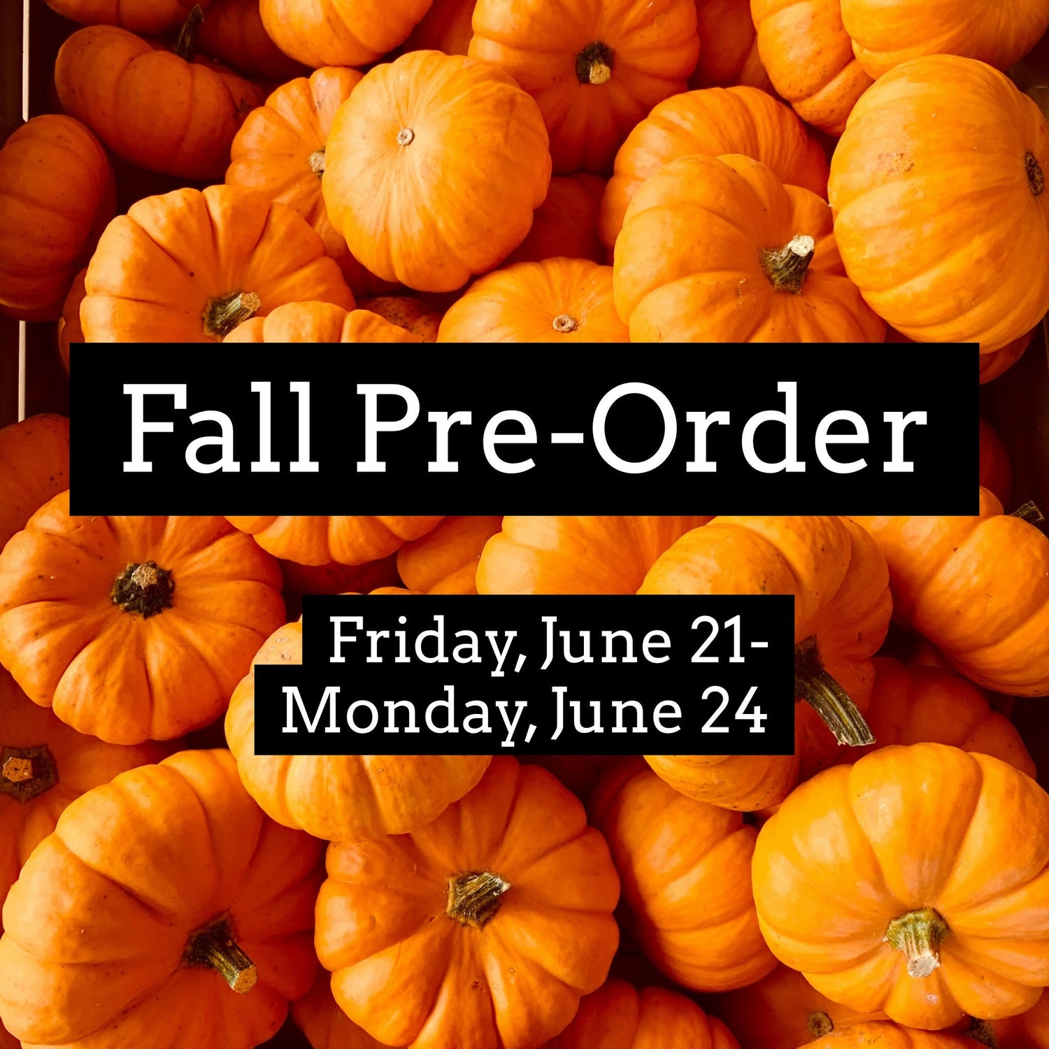 Fall Pre-Order